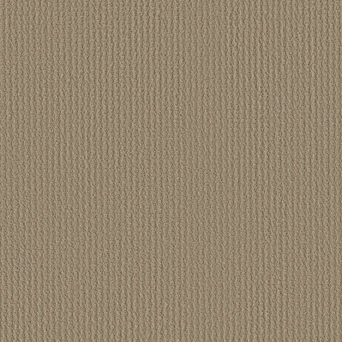 Shaw Floor Studio Best Hope Nylon Mushroom 00703