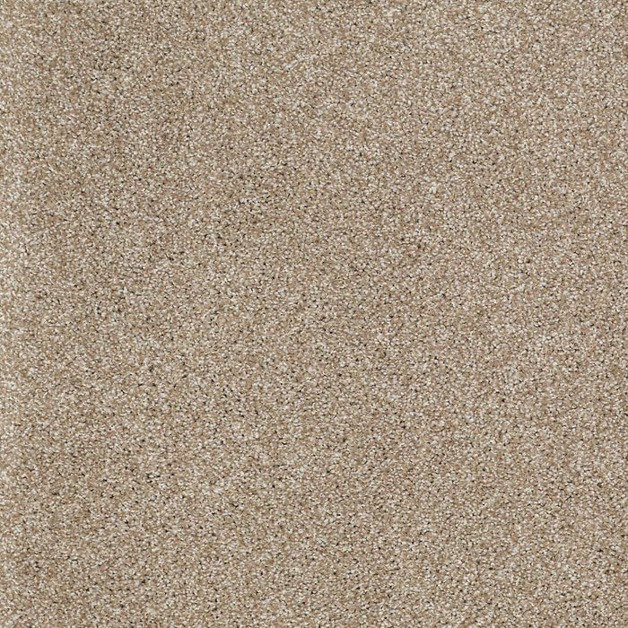 Shaw Floor Studio Gelato Nylon Mushroom 00703