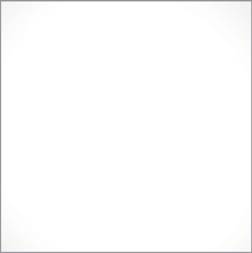 Full Tile Sample - Nano White Glass Tile - 12" x 24" x 1/2" Polished