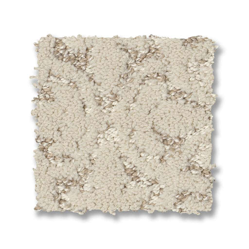 Pet Perfect Plus Light Impressions Natural 00109