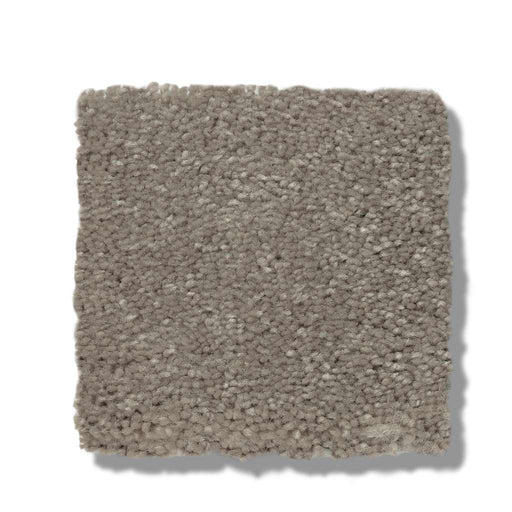 Simply the Best Values Solidify I 15' Natural Contour 00104