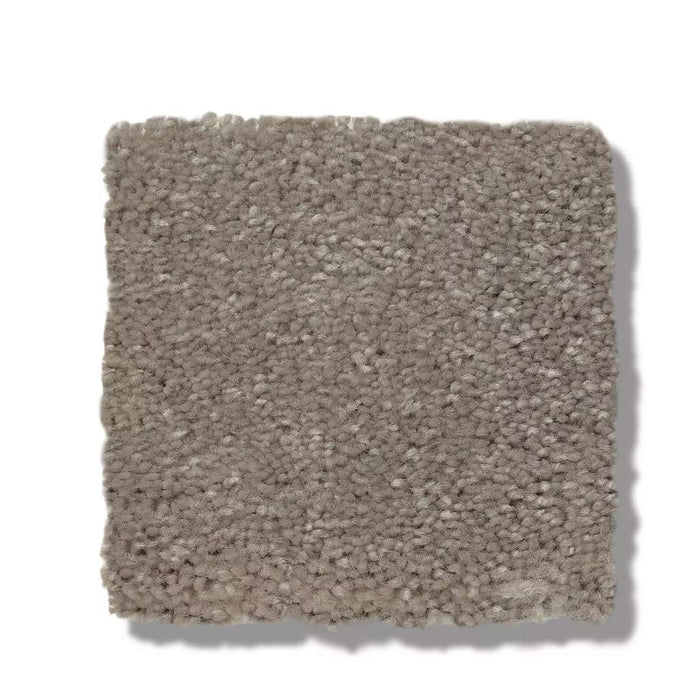 Simply the Best Values Solidify III 15' Taupe Stone 00502