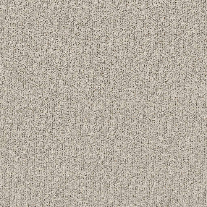 Pet Perfect Intricate Trace Polyester Natural 00109