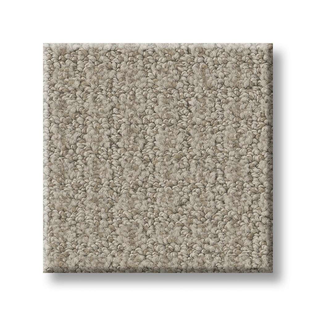 Shaw Foundations Aerial Arts 00106 Natural Stone Pattern Nylon Carpet ...
