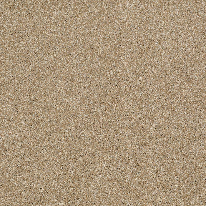 Shaw Floor Studio Gelato Nylon Natural Wood 00701