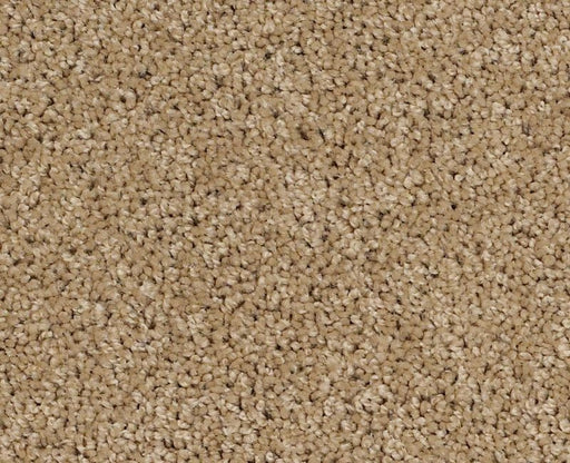 Orlando PV Natural Wood 00701