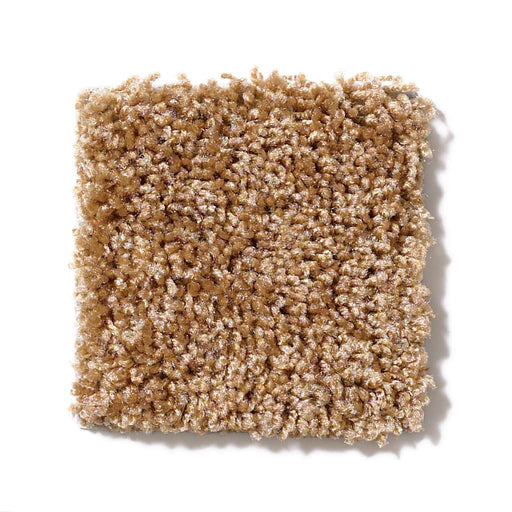 Dreamin' 12' New Cork 00200