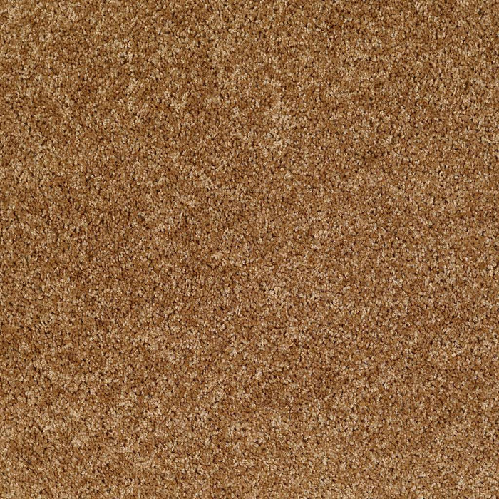 Dreamin' 12' Nylon New Cork 00200