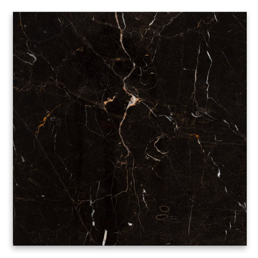 New Saint Laurent Polished Marble Tile - 12" x 12"