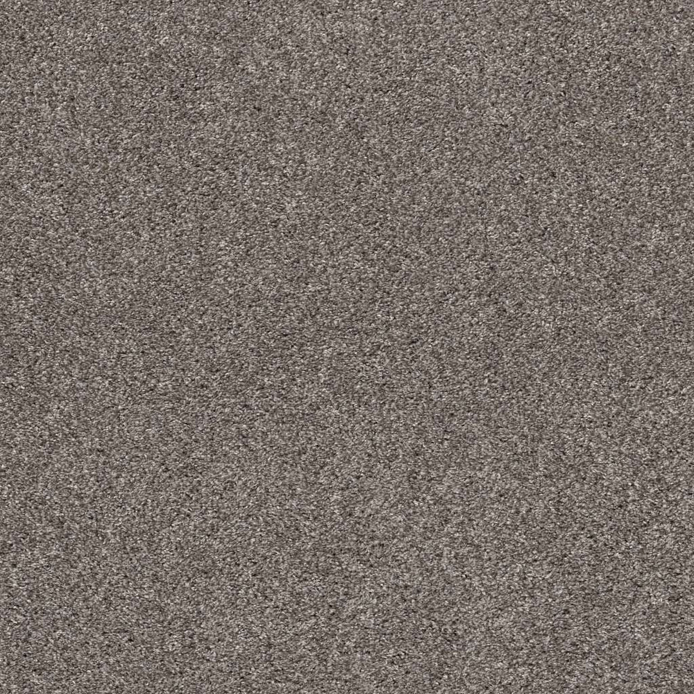 Pet Perfect Plus Calm Simplicity I Newstone Haven 00512