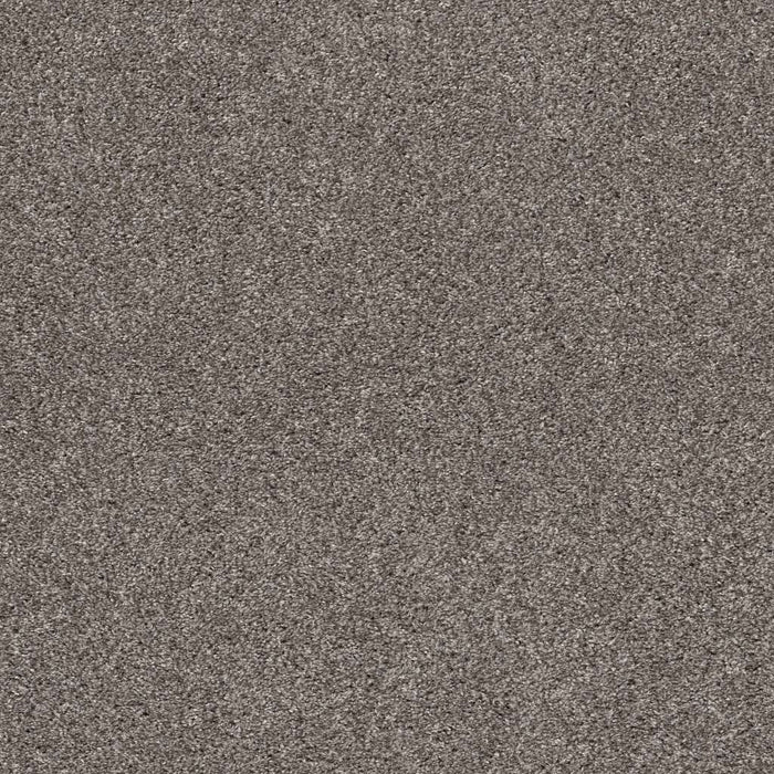 Pet Perfect Plus Calm Simplicity I Newstone Haven 00512