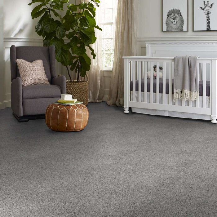 Pet Perfect Plus Quiet Sanctuary Newstone Haven 00502 Textured Polyester