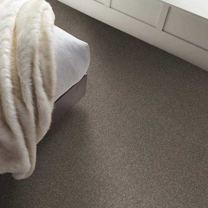 Pet Perfect Plus Calm Simplicity I Newstone Haven 00512 Textured Polyester