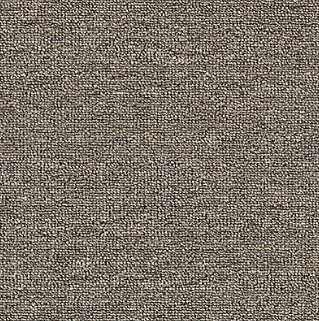 Aladdin Commercial Rule Breaker 20 12' 959 Nickel Loop Polyester