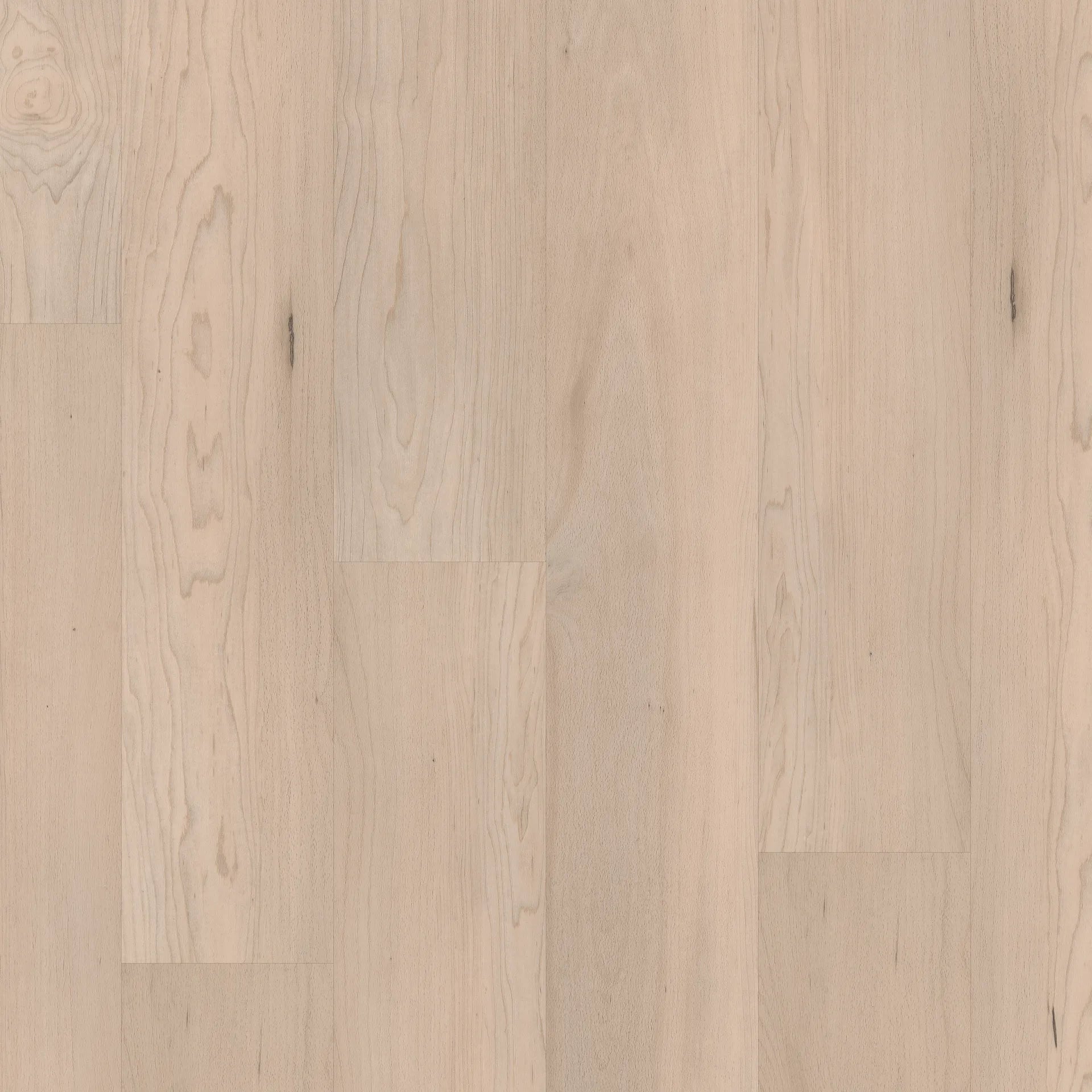 COREtec Pro Plus Intergrated Bevel 7 Inch Norfolk Maple Vinyl