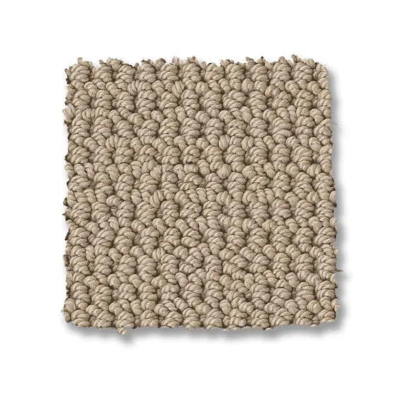 Anderson Tuftex Arden Park 00273 Nutshell Nylon Carpet — Stone & Tile ...