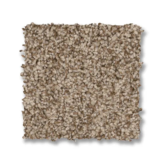 Anderson Tuftex Via Nova 00764 Nutshell Nylon Carpet — Stone & Tile ...