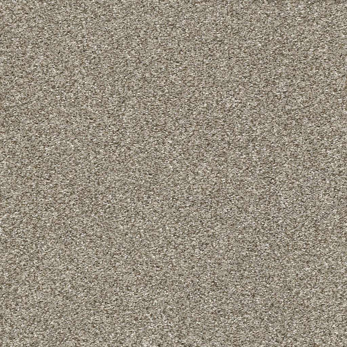 Pet Perfect Plus Points Of Color I Polyester Oatmeal 00108