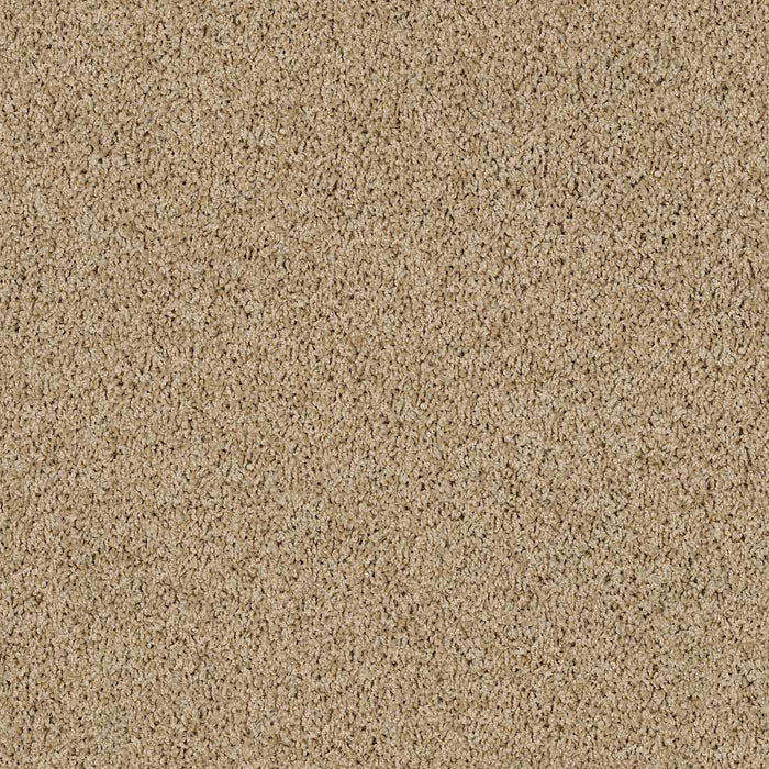 Lonestar Nylon Oatmeal 00125