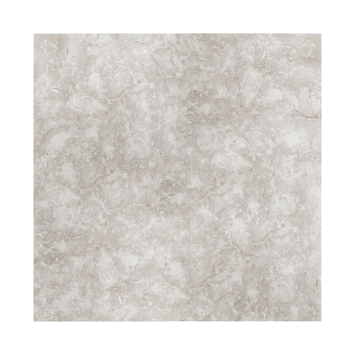 Full Tile Sample - Ocean Reef Shellstone Limestone Tile - 12" x 24" x 1/2" Honed