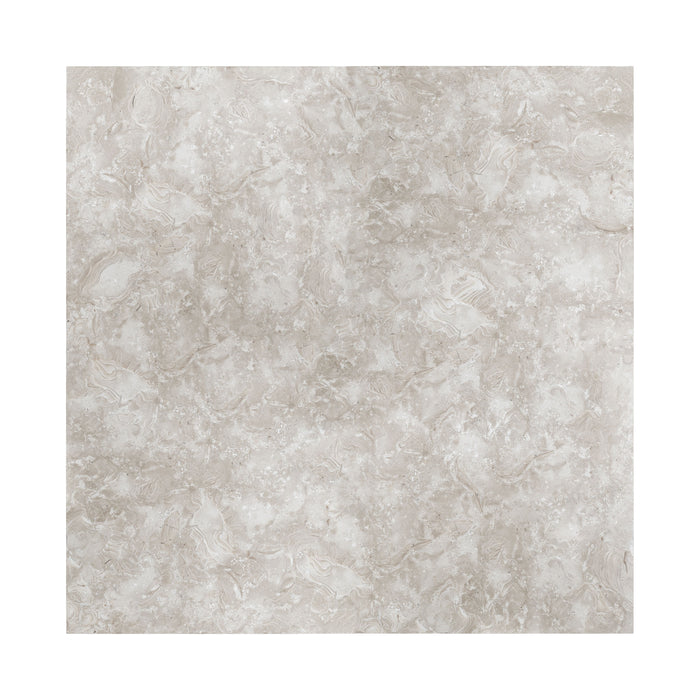 Full Tile Sample - Ocean Reef Shellstone Limestone Tile - 24" x 24" x 1/2" Honed