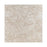Full Paver Sample - Ocean Reef Shellstone Limestone Paver - 12" x 12" x 3 CM Brushed