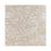 Full Paver Sample - Ocean Reef Shellstone Limestone Paver - 24" x 24" x 3 CM Brushed