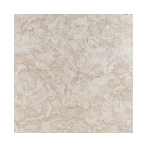 Full Paver Sample - Ocean Reef Shellstone Limestone Paver - 24" x 24" x 3 CM Brushed