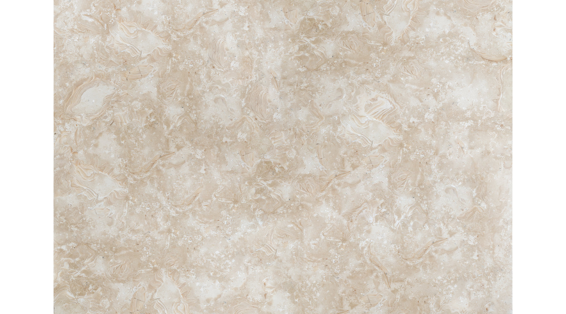 Ocean Reef Shellstone Filled & Honed Limestone Tile - 12" x 12" x 2 CM