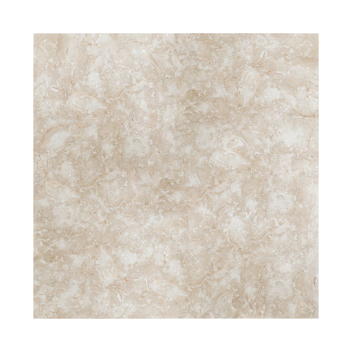Full Tile Sample - Ocean Reef Shellstone Limestone Tile - 12" x 24" x 2 CM Honed
