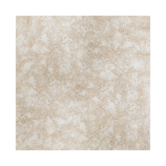 Full Tile Sample - Ocean Reef Shellstone Limestone Tile - 24" x 24" x 2 CM Filled & Honed