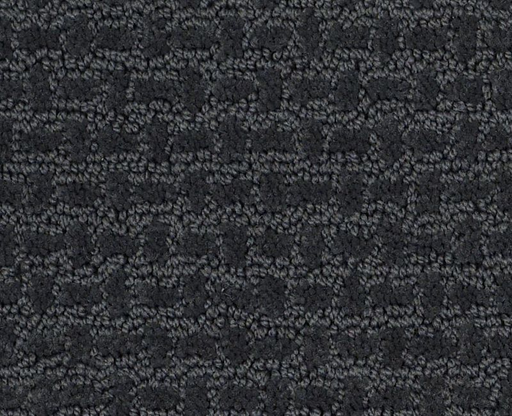 Bold Attitude Ocean Wave 00431