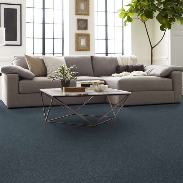 Soft Shades My Choice II Old Blue Eyes Textured 00450