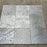 Ostrich Grey Slate Tile - 12" x 12" x 3/8" - 1/2" Natural Cleft Face, Gauged Back