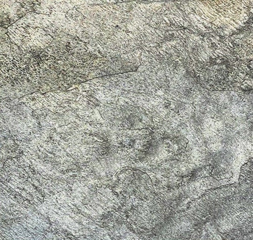 Full Tile Sample - Ostrich Gray Slate Tile - 24" x 24" x 5/8" Natural Cleft Face, Gauged Back