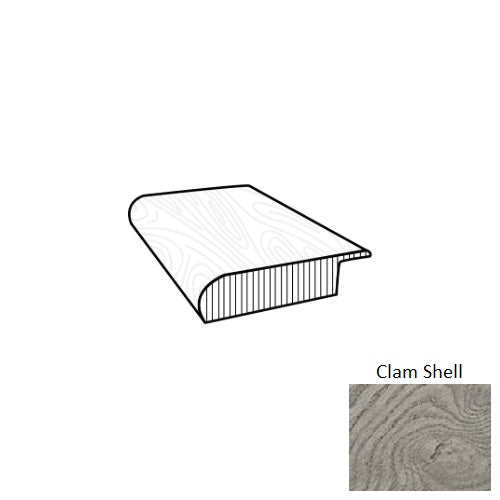 Coastal Art Clam Shell AAOSN-15007