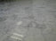 Waterjet Bianco Carrara PCS-3 Polished