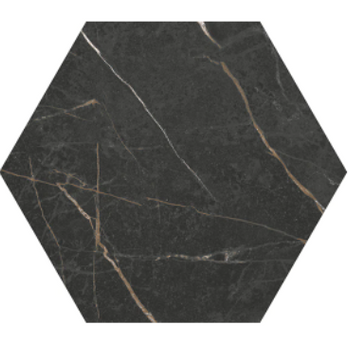 Perpetuo Infinite Black PT24