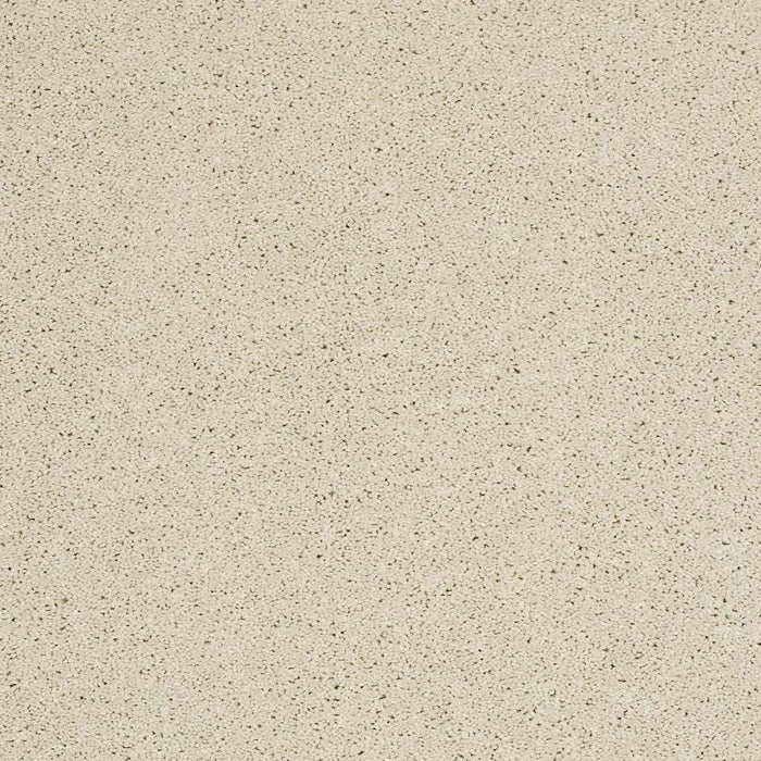 Shaw Floor Studio Around The House I Nylon Pale Cream 00121