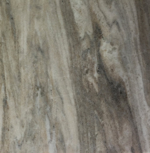 Full Tile Sample - Palissandro Marble Tile - 12" x 24" x 1/2" Polished