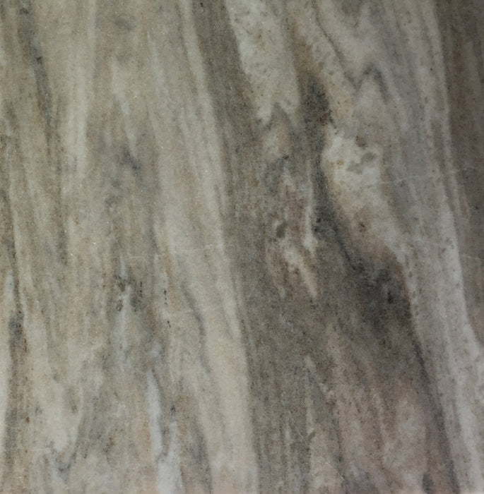 Full Tile Sample - Palissandro Marble Tile - 12" x 24" x 1/2" Polished