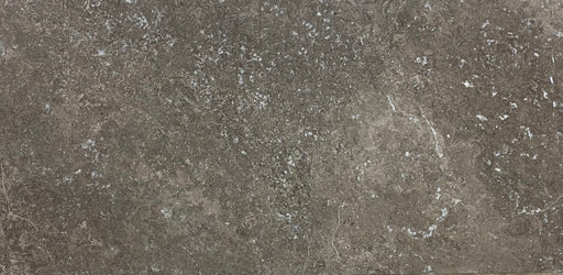 Full Tile Sample - Palladion Dark Marble Tile - 24" x 24" x 3/8" Honed