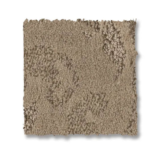 Charismatic Palm Desert 00134