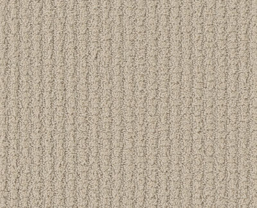 Bold Attitude Parchment 00123