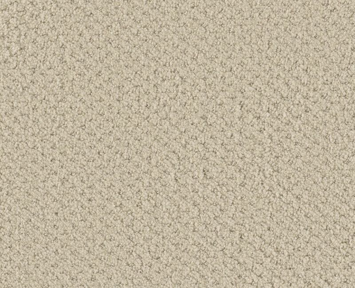 Brave Heart Parchment 00123
