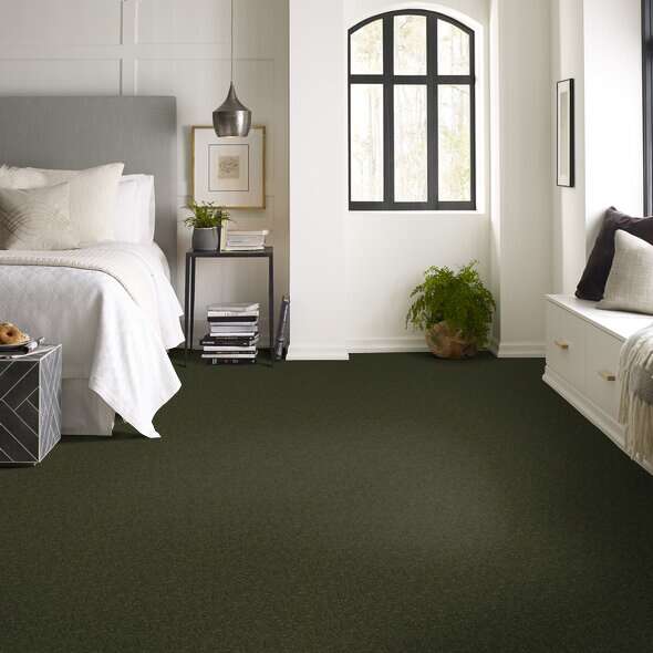 Shaw Floor Studio Home News I 12' Passion Vine Textured 00303