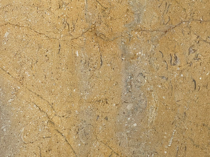 Pearl Gold Polished Marble Tile