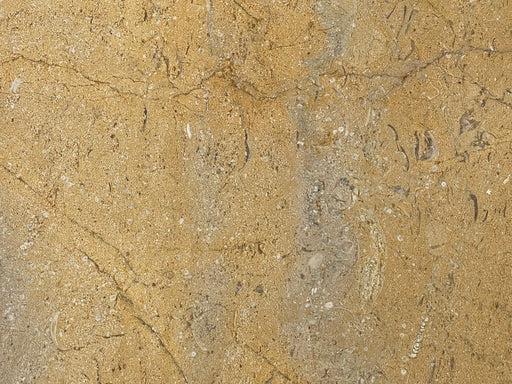 Full Tile Sample - Pearl Gold Marble Tile - 18" x 18" x 3/4" Polished