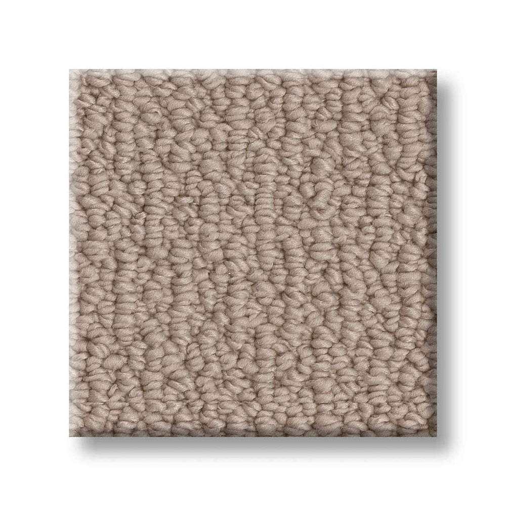 Shaw Simply The Best Loop De Loop 00109 Pebble Path Polyester Carpet ...
