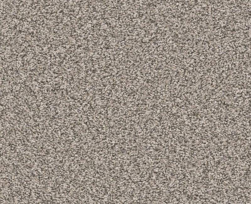 Shaw Venice Beach 00510 Pencil Sketch Textured Polyester Carpet — Stone